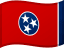 TN